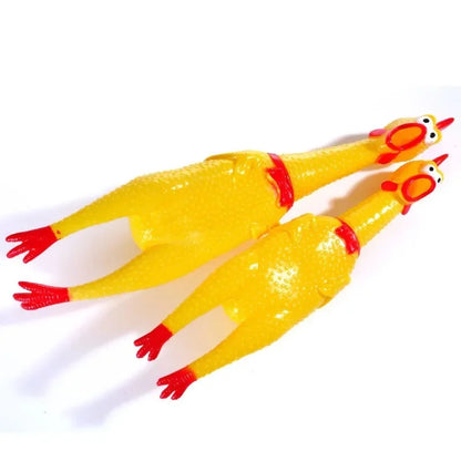 Dog Chicken Squeak Toys