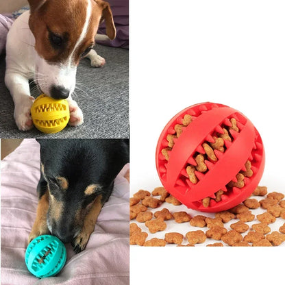 Interactive Rubber Balls for dogs