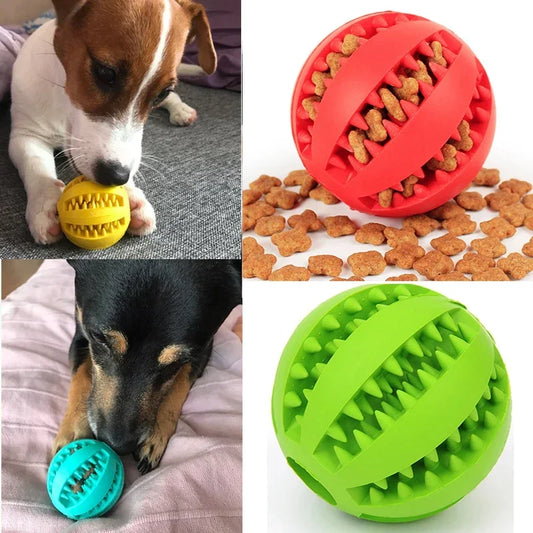 Interactive Rubber Balls for dogs