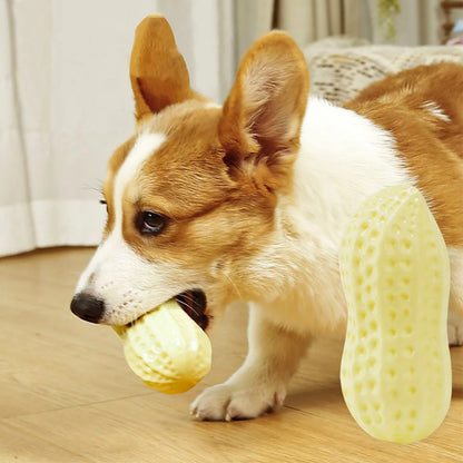 Pet Dog Chew Peanut Toys