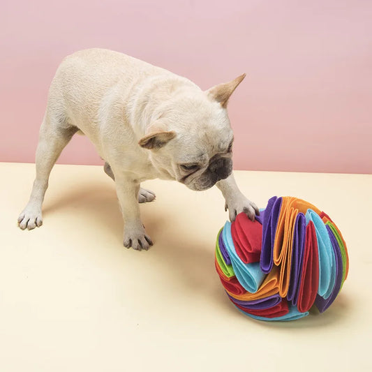 Dogs Snuffle Ball Mat