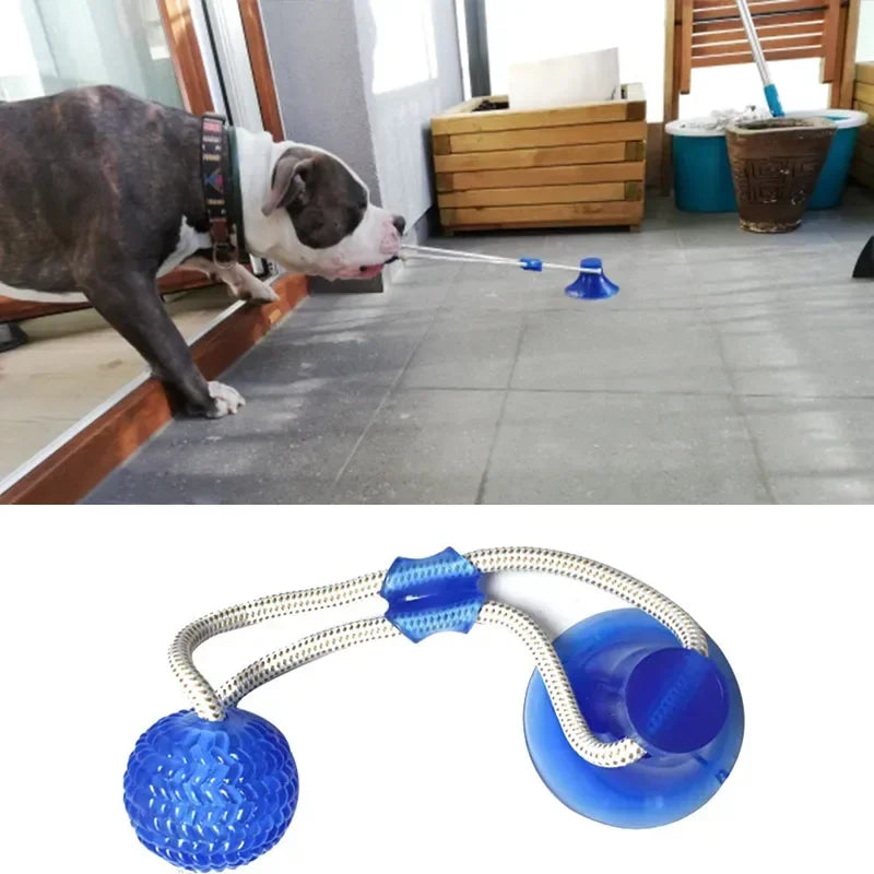 Interactive Rubber Balls for dogs