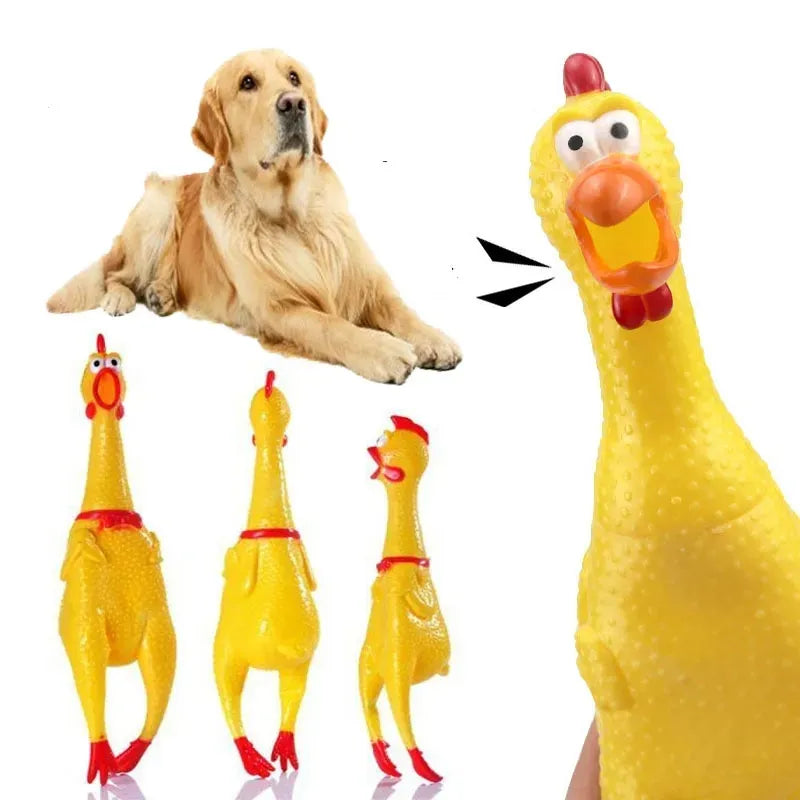 Dog Chicken Squeak Toys