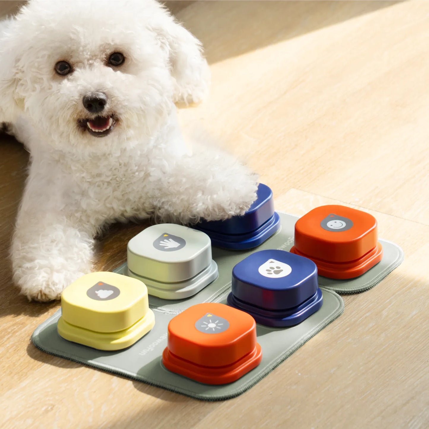 Interactive Dog Recording Button