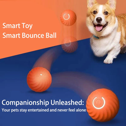 Interactive Dog Toy Ball