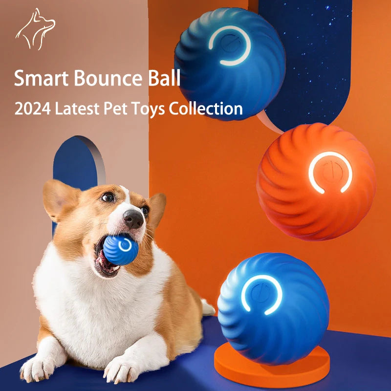 Interactive Dog Toy Ball