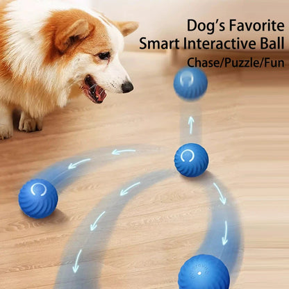 Interactive Dog Toy Ball