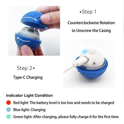 Interactive Dog Toy Ball