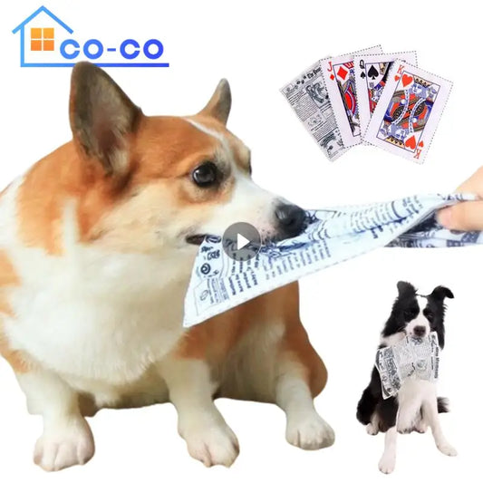 Newspaper Dog Toys