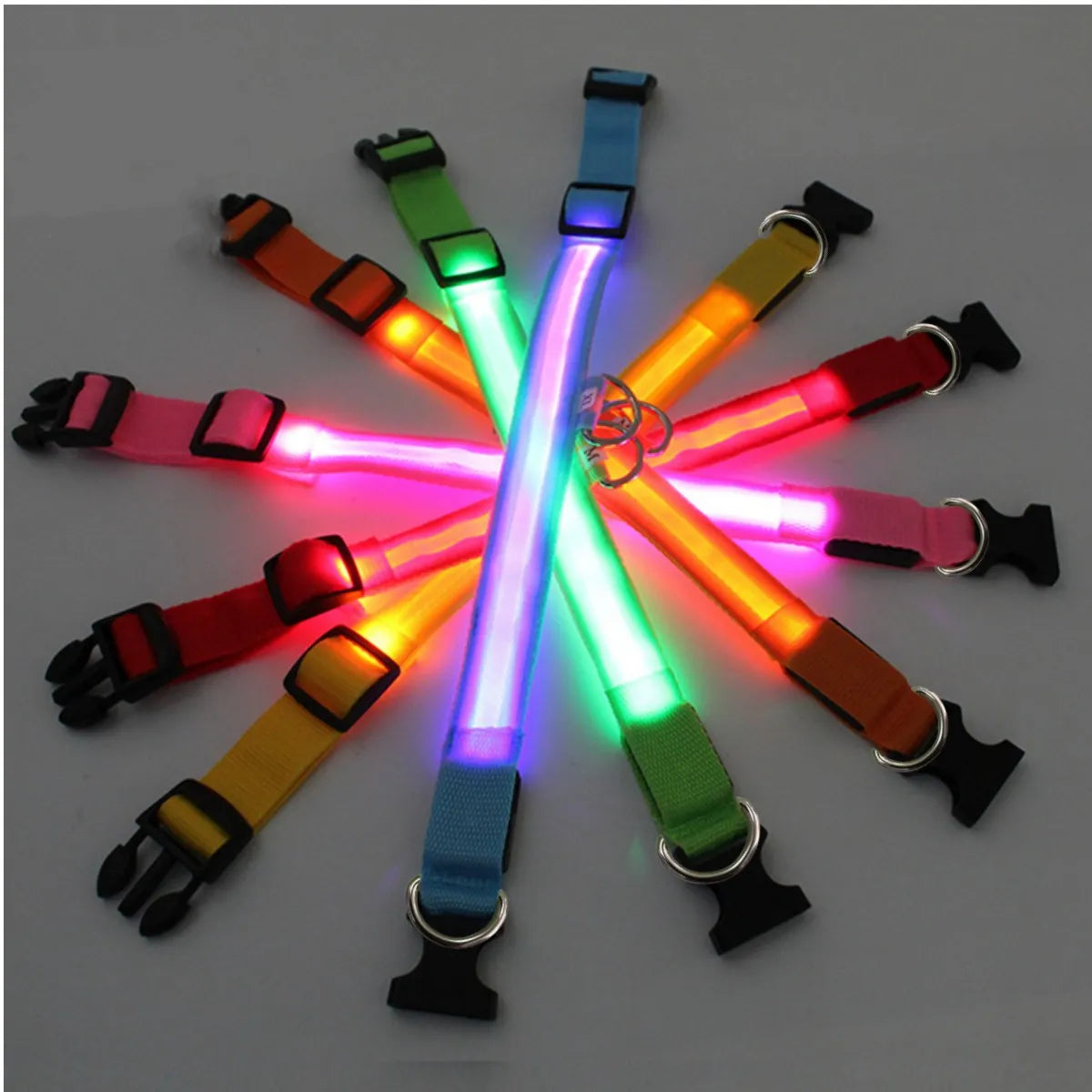 LED Glowing Dog Adjustable Collar