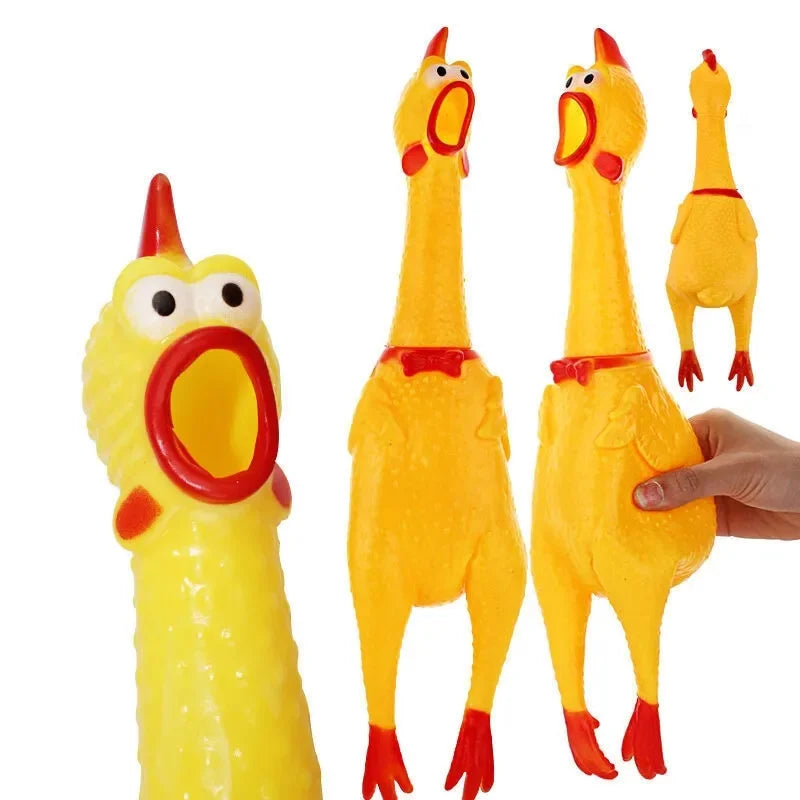 Dog Chicken Squeak Toys