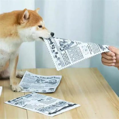 Newspaper Dog Toys