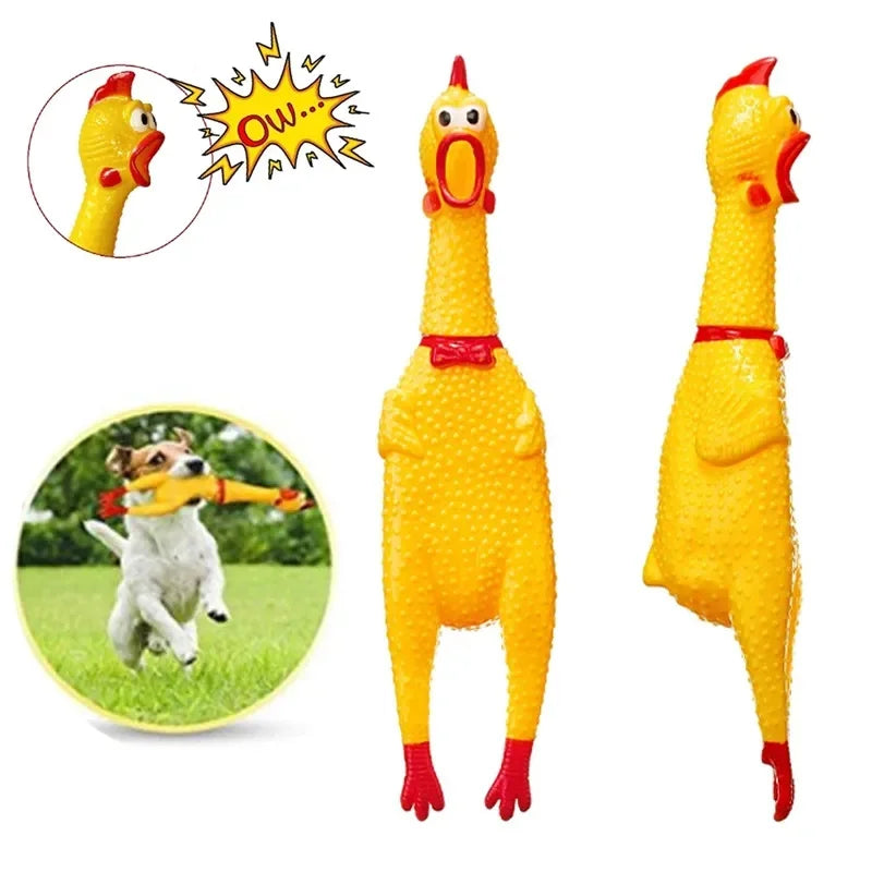 Dog Chicken Squeak Toys