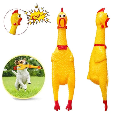 Dog Chicken Squeak Toys