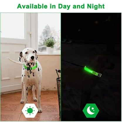 LED Glowing Dog Adjustable Collar